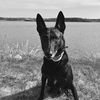 girlandhermalinois