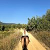 equestriaeva