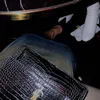 mira.27z