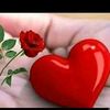 adnan.jani377