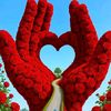 Ahmad Raza