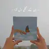 chubby_here1