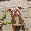 tiatandherpack