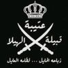 user287396613