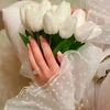 readalnajah