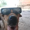 tokiloski5