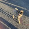 ellie_5430