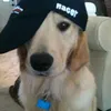 naesmf
