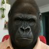 oscarfpr