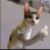 titiiy.gyyeyyr