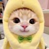 mbul_78