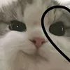 bel_maia1