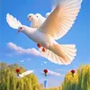 dinh.hng.vn