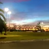 luchii_1022