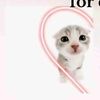 7_.jaylah._7
