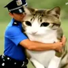 saladxzv