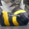 .molpop_6