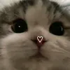 sraiiiu