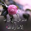 user7691016226620