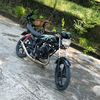 mx.pekicot