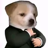 đzai mát mát tẽn tẽn