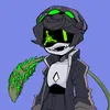 serial_designation_x_001