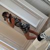 alannahspammss