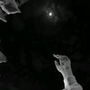 _justmoon_