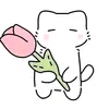sheizxc2