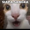 fanz.id24