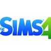 simmer4_