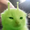 absolute.zero269