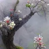 hiu.phan608