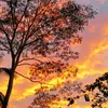 www.tiktok.comanalyn6