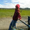 presetedits4