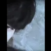 iabajajsbsojhg