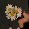 user81030474700025