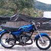 king.aceh41