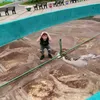 gevtlv
