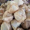 khanh.dua.kho