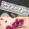 user6558138290509