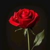 stephane.kouadio21