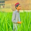 taneerxbabar