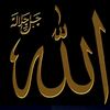 fatih.rached