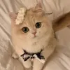 كومـي آقࢪي ♡🗿