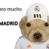 hala_madrid_0121