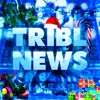 TRIBL NEWS | BS