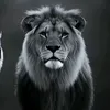 msbhai.mubeen