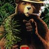 kannabis.kub