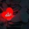 dulqarnayn67